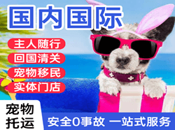 长水空运国际宠物托运 【国